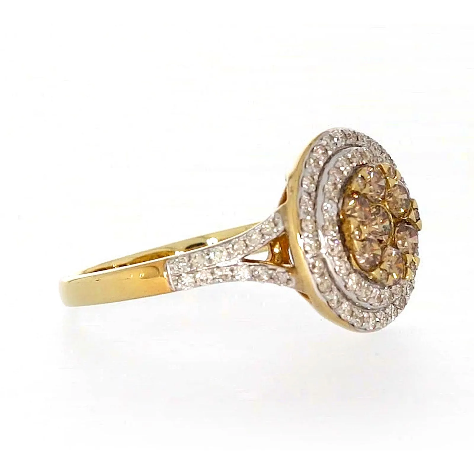 9ct Yellow Gold Round Brilliant Cut with 1 CARAT tw of Diamonds Ring