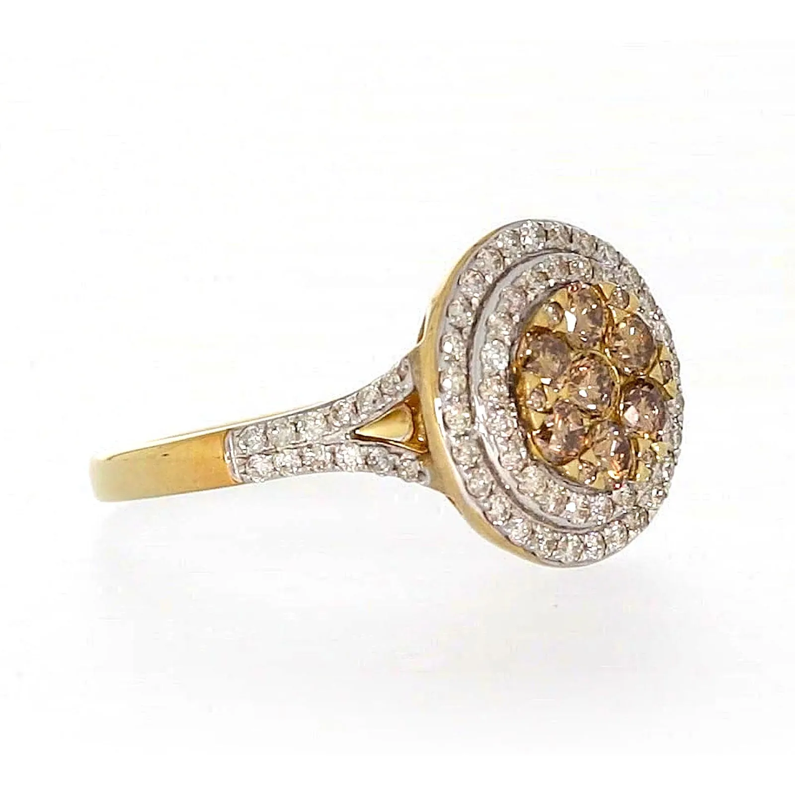 9ct Yellow Gold Round Brilliant Cut with 1 CARAT tw of Diamonds Ring