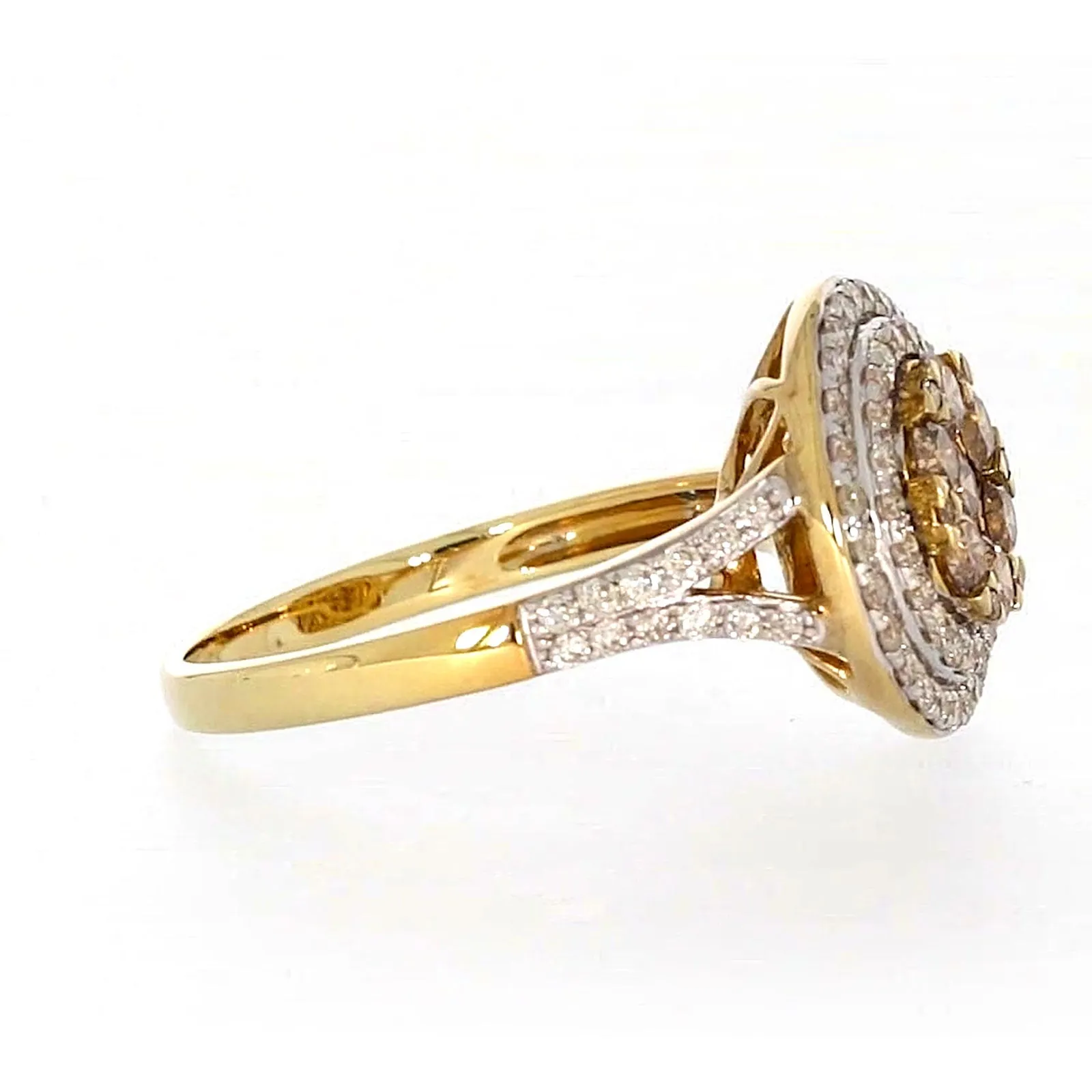 9ct Yellow Gold Round Brilliant Cut with 1 CARAT tw of Diamonds Ring