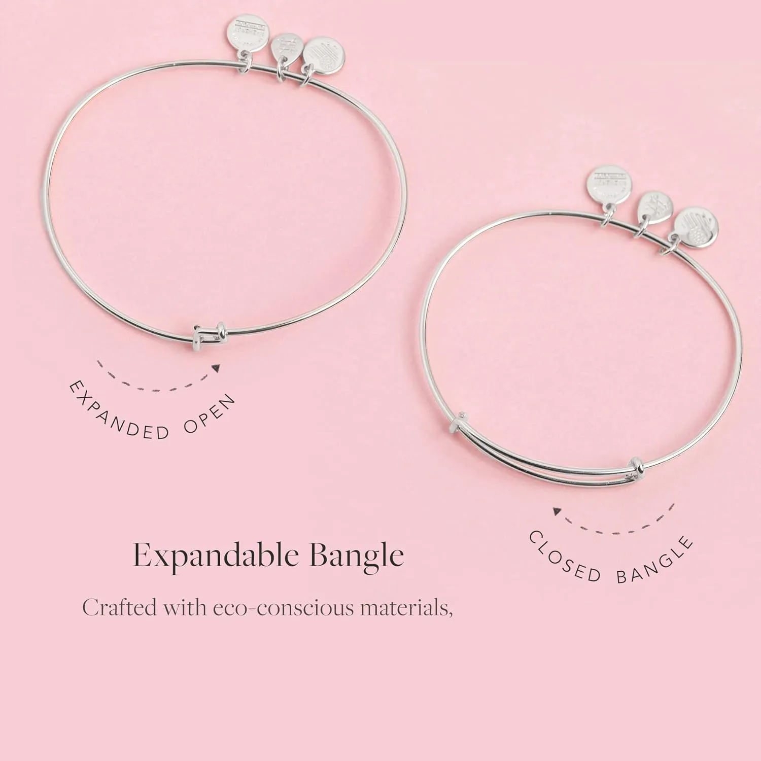 Alex and Ani Sister Bracelets