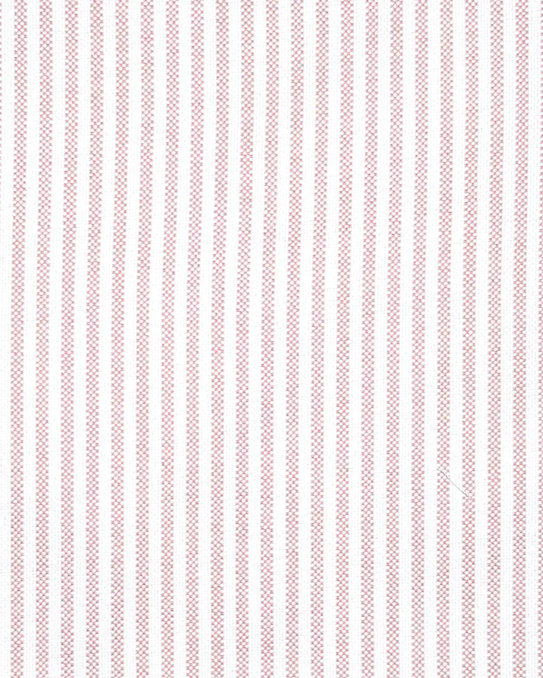 EZS Pink University Stripes Oxford
