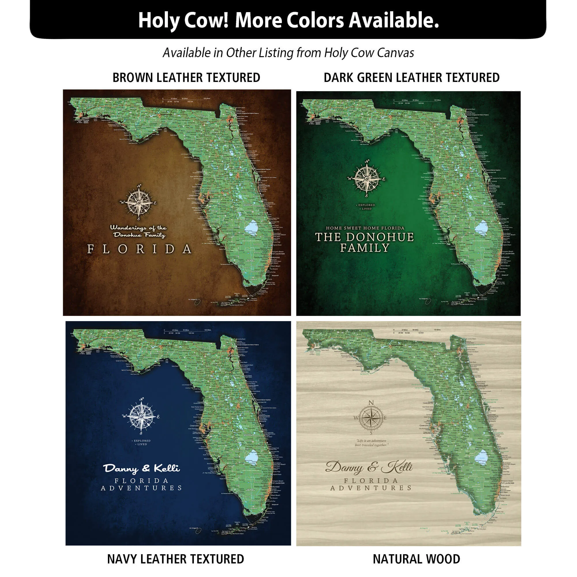 Florida Push Pin State Travel Map Wall Art - Grey | Holy Cow Canvas