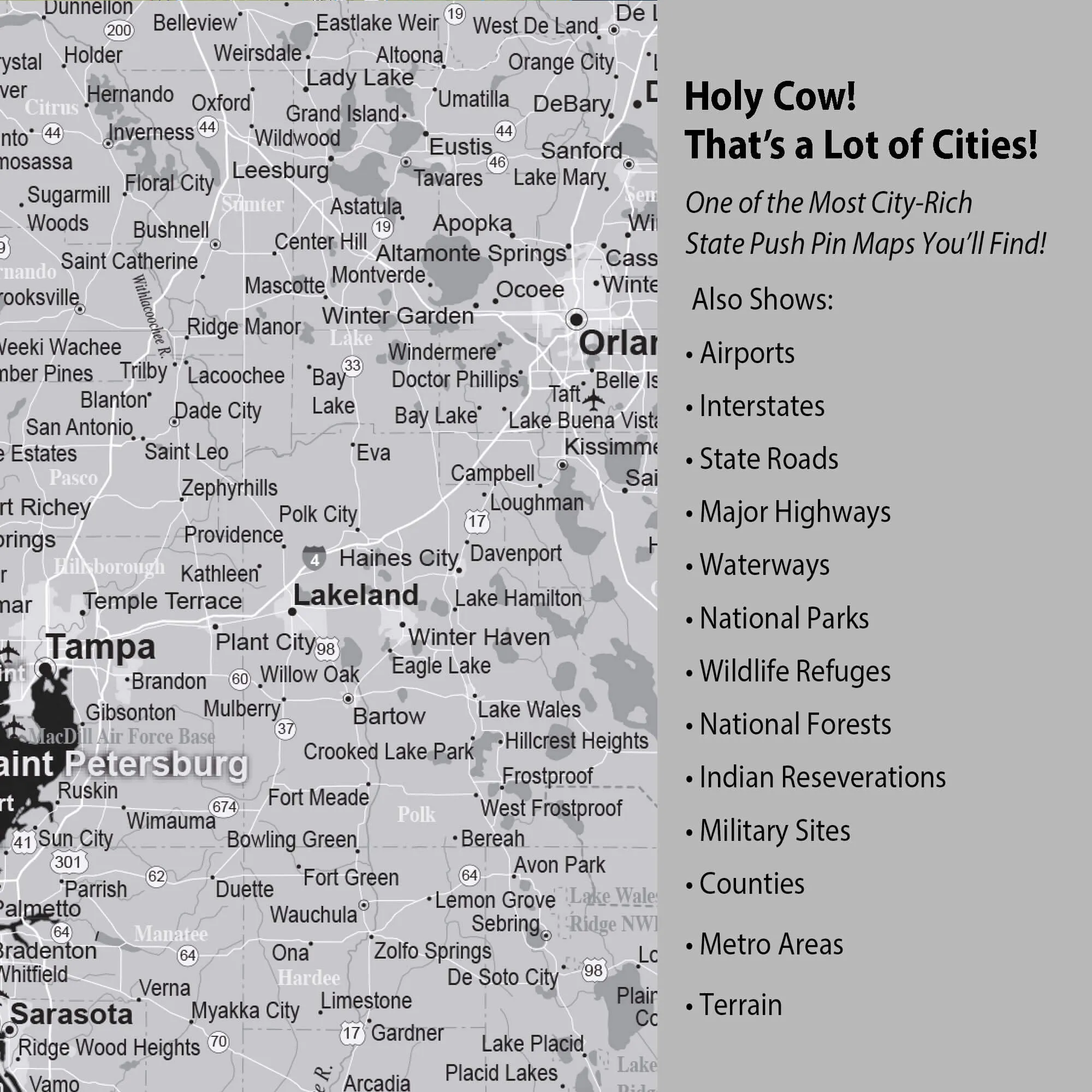 Florida Push Pin State Travel Map Wall Art - Grey | Holy Cow Canvas