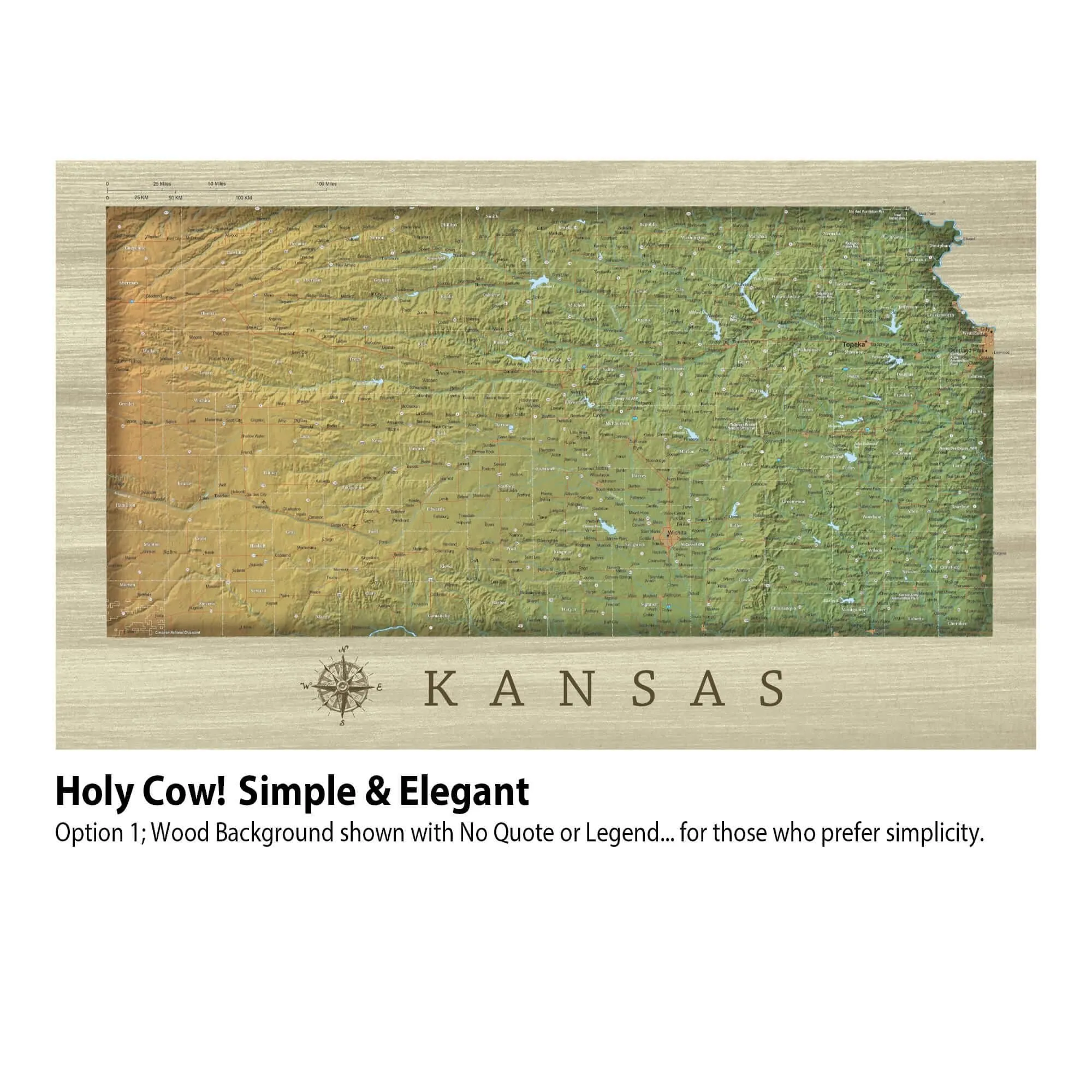 Kansas Push Pin Terrain Map