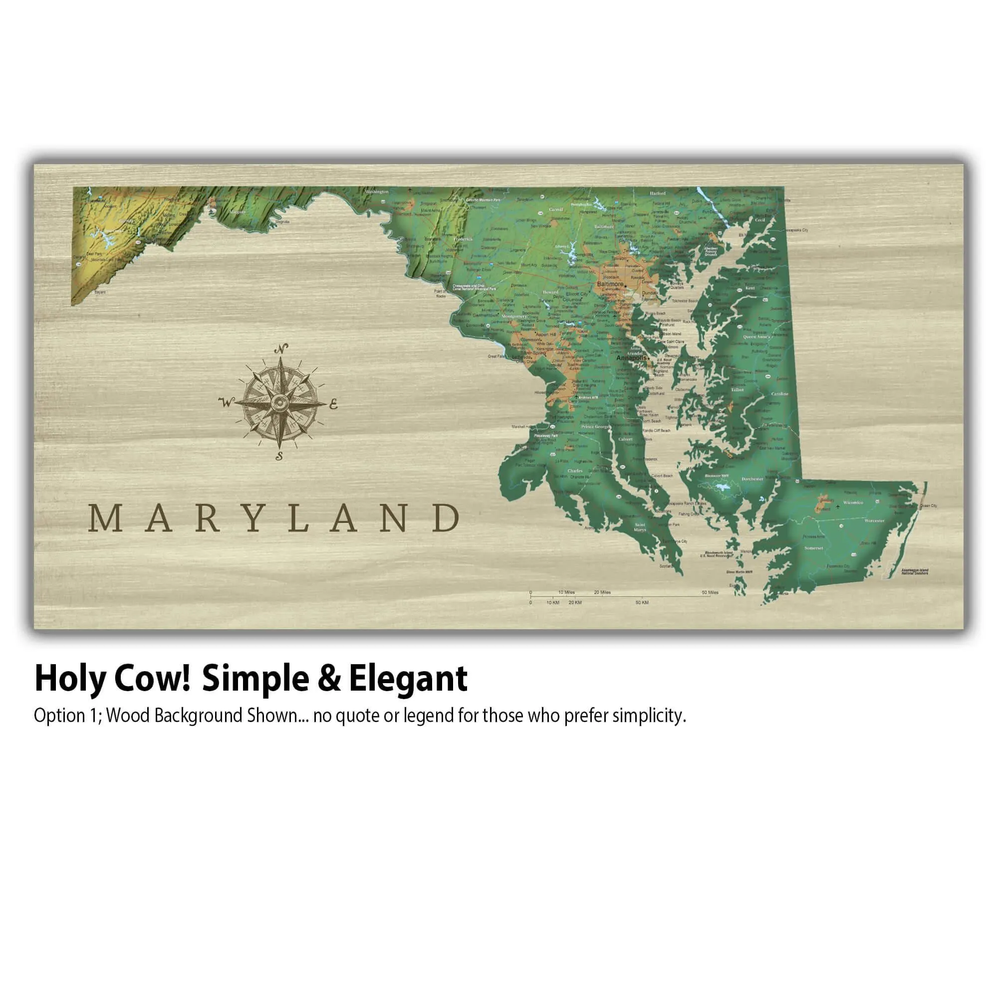 Maryland Push Pin Terrain Map