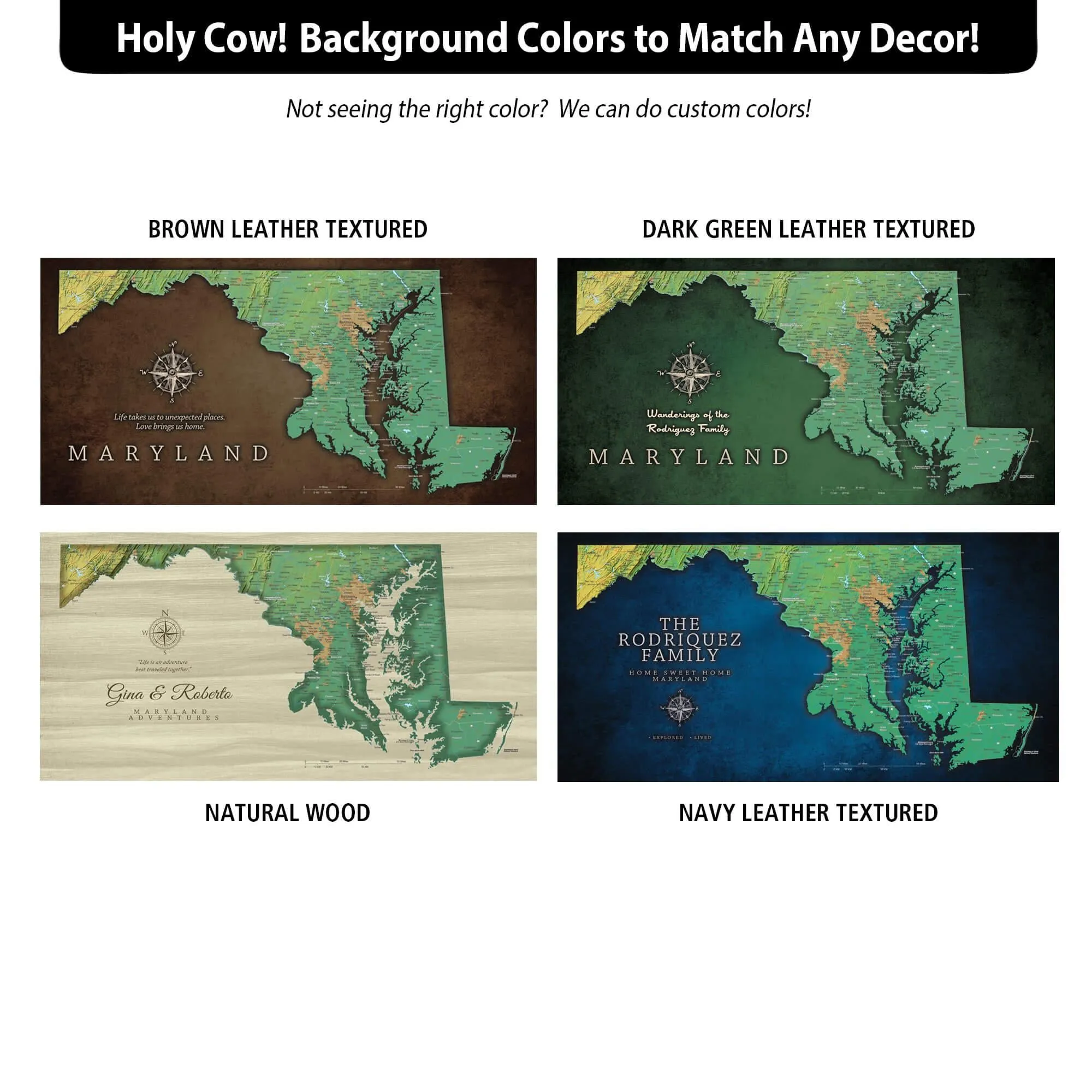 Maryland Push Pin Terrain Map