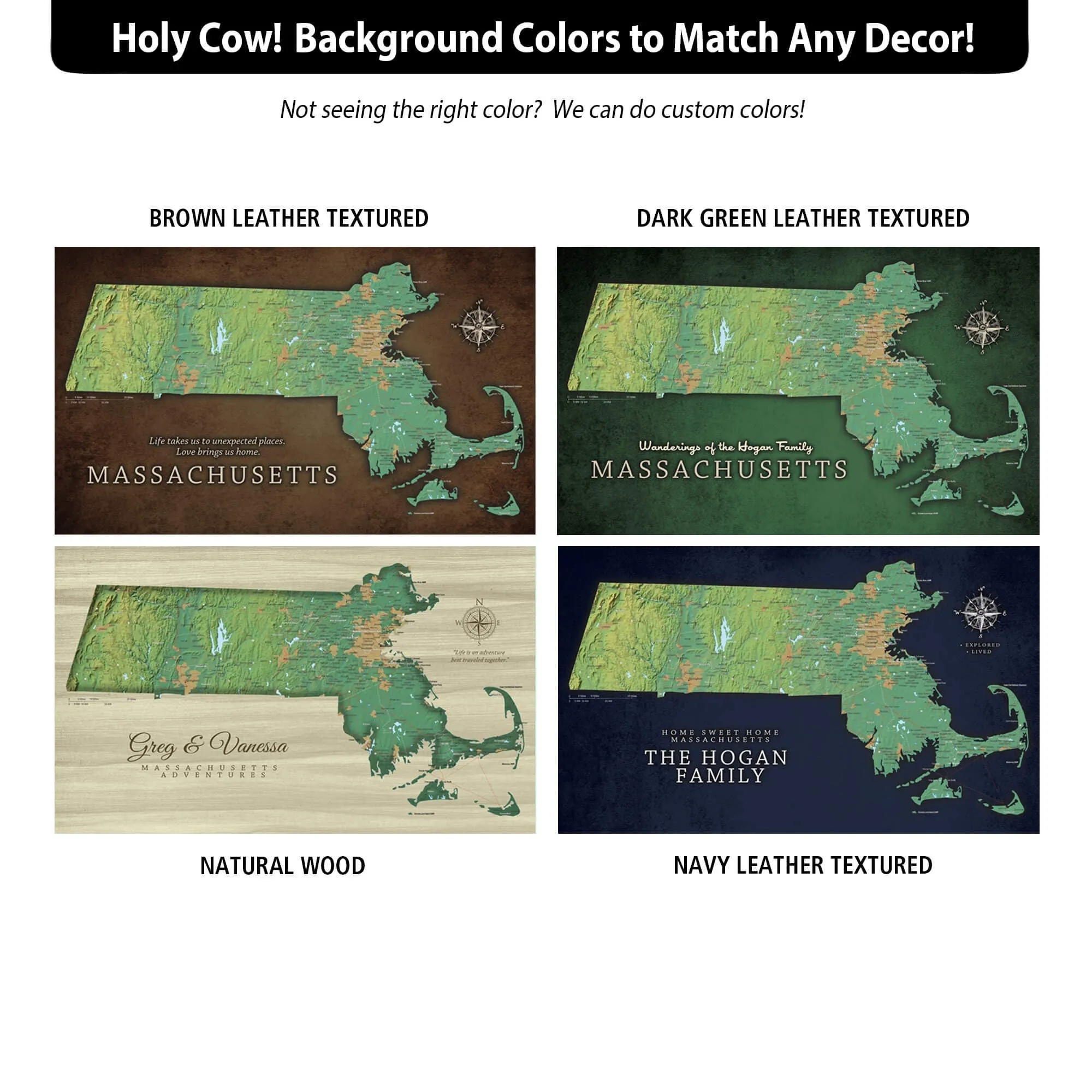 Massachusetts Push Pin Terrain Map