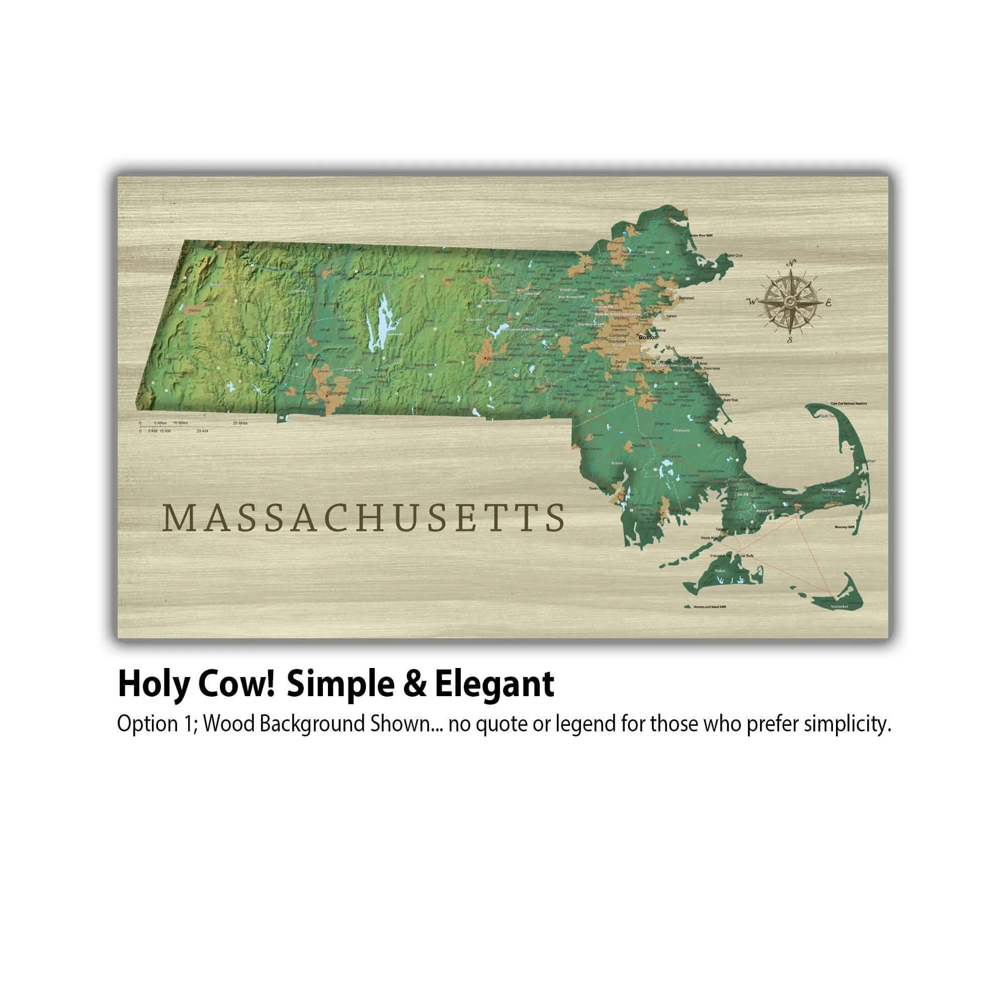 Massachusetts Push Pin Terrain Map