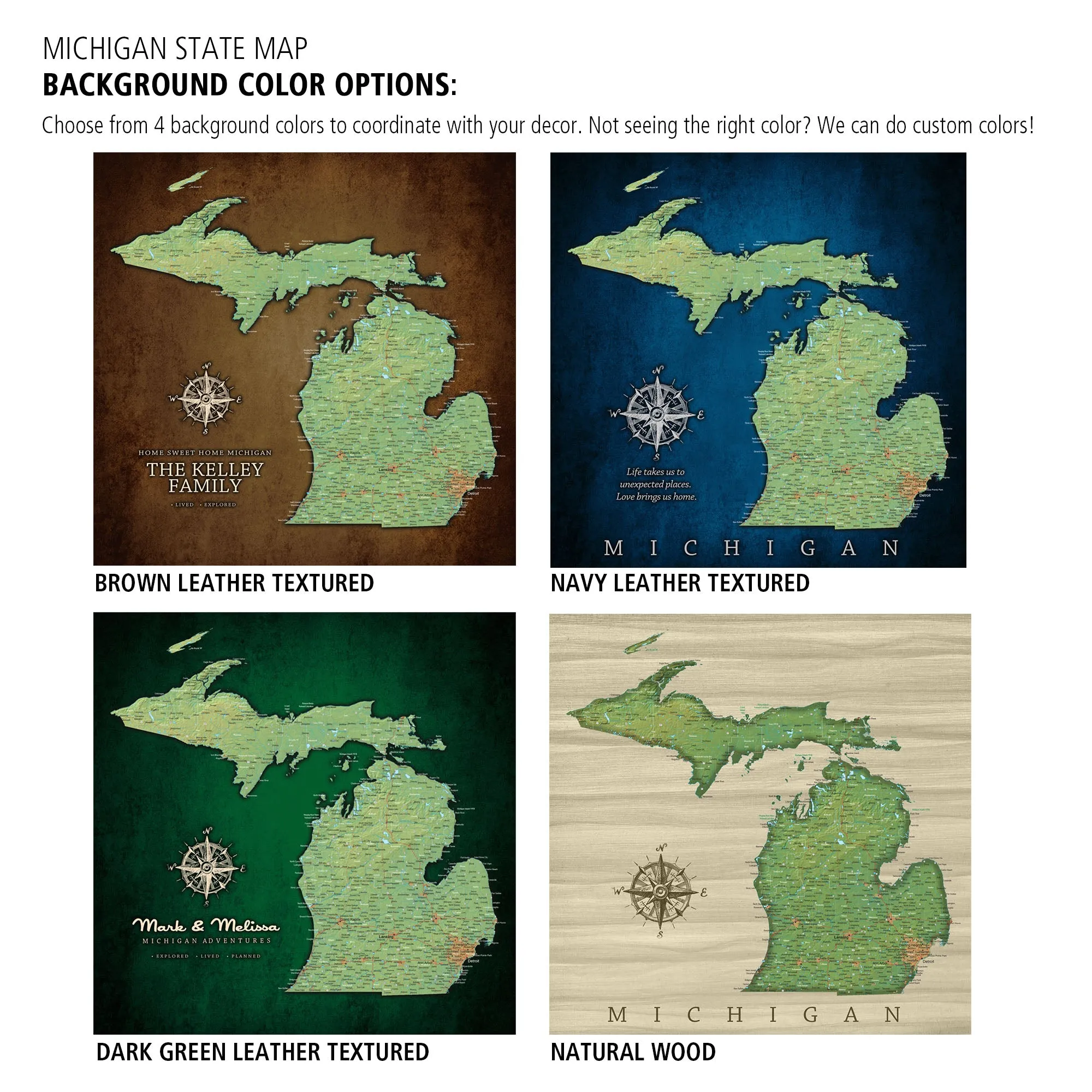 Michigan Push Pin Terrain Map