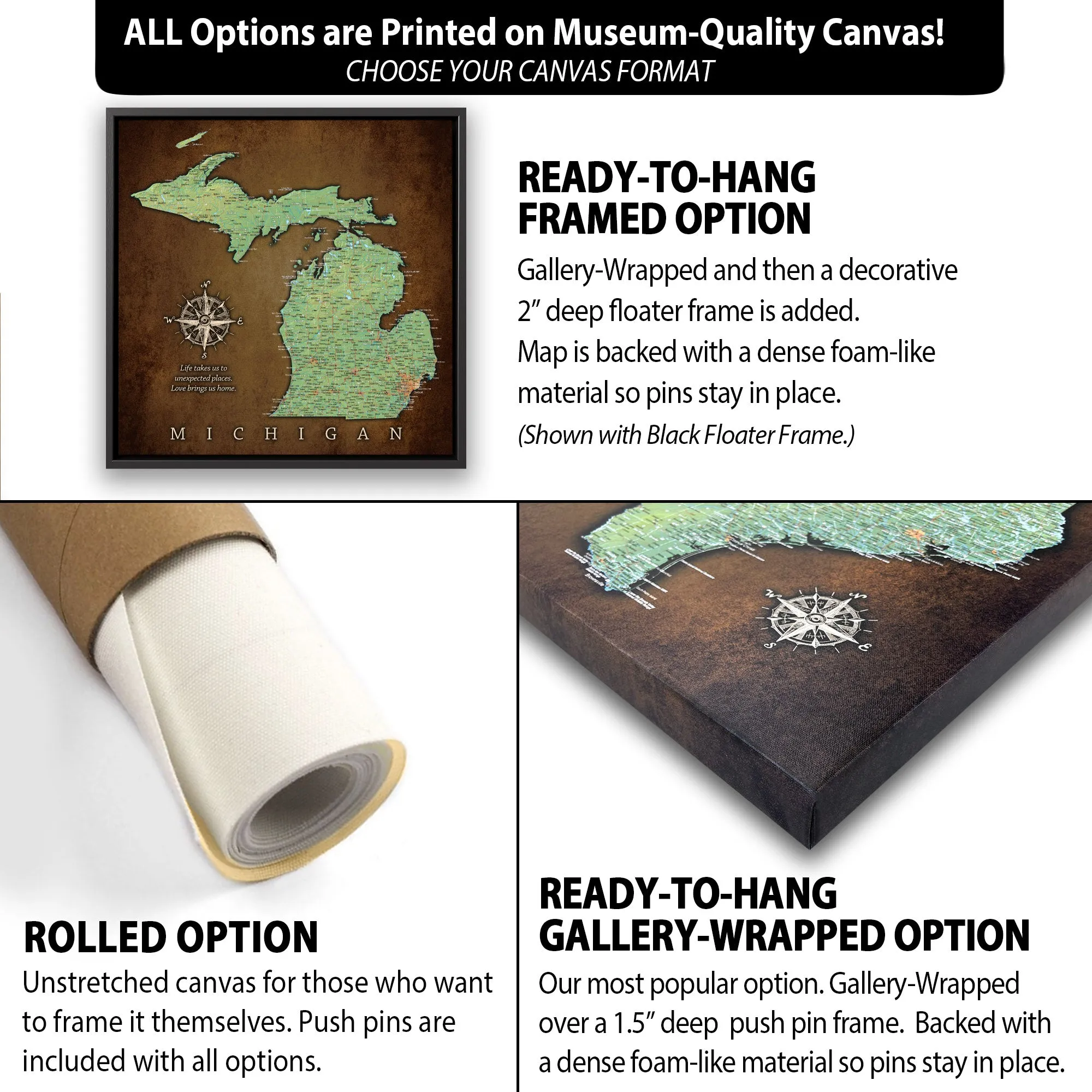 Michigan Push Pin Terrain Map