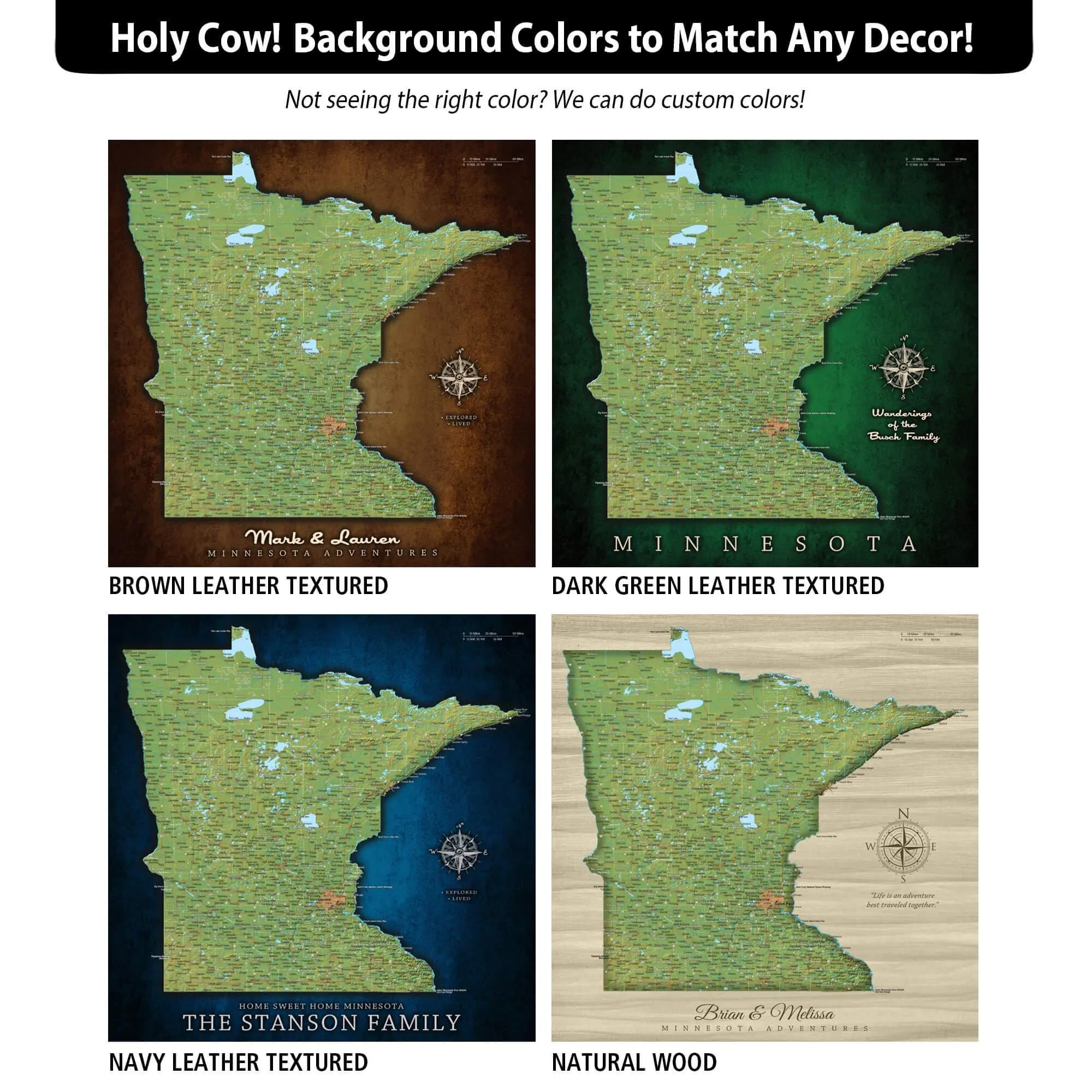 Minnesota Push Pin Terrain Map