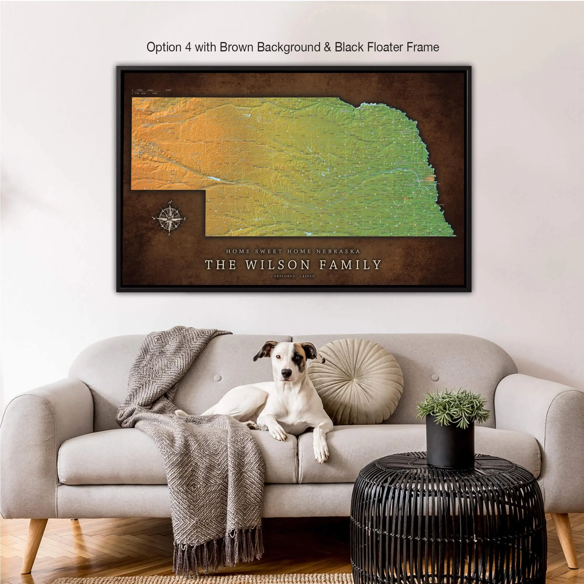 Nebraska Push Pin Terrain Map
