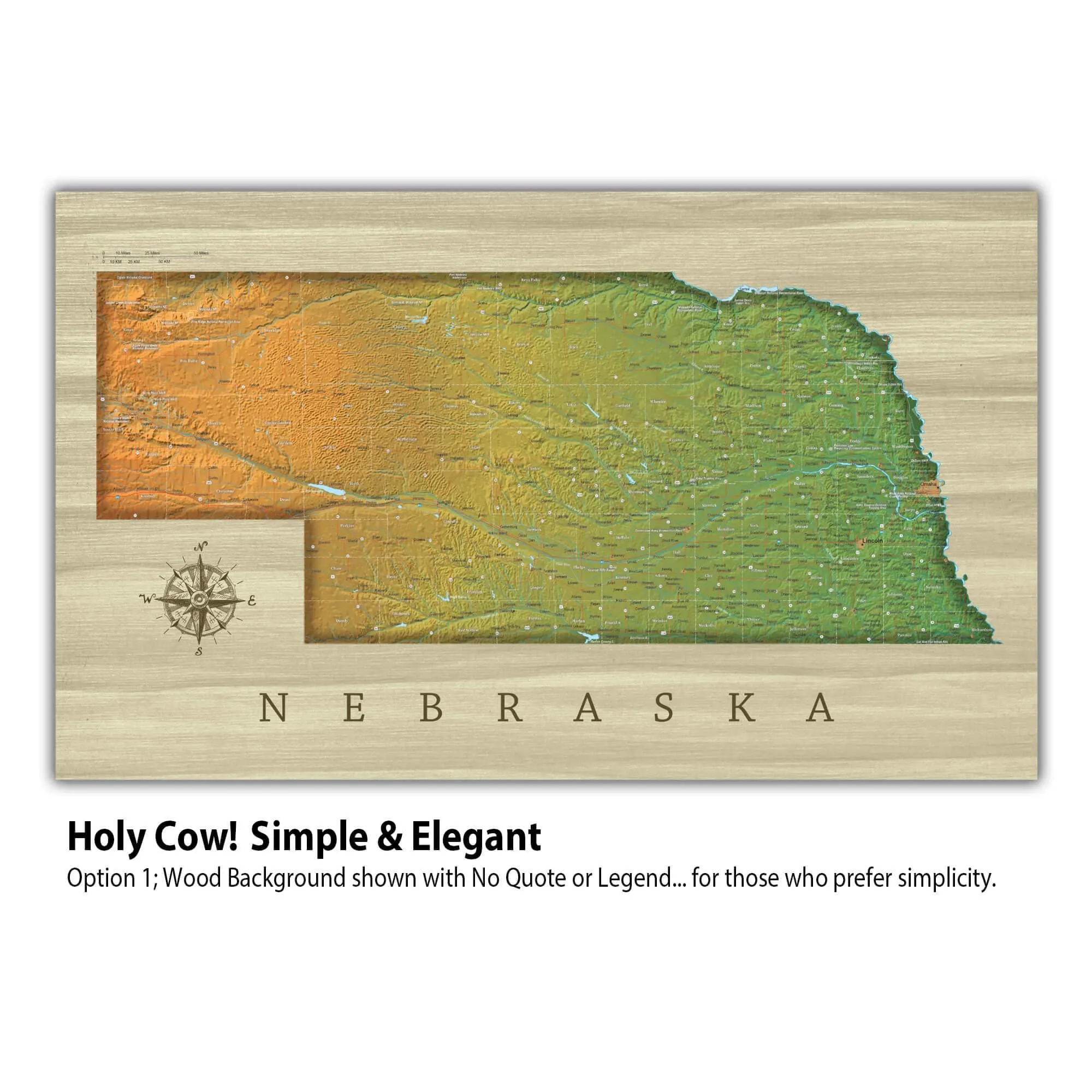 Nebraska Push Pin Terrain Map